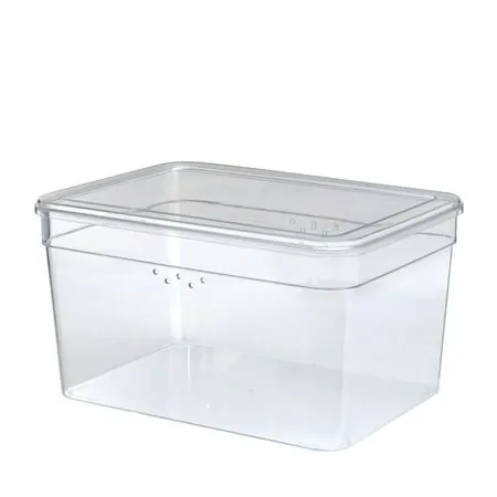 CAJA DE PLASTICO PARA GUARDAR ZAPATOS